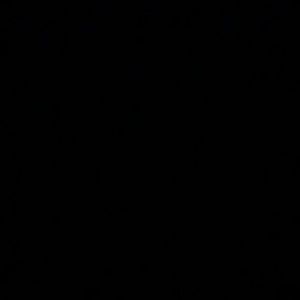 Meet your Posher, Sasha